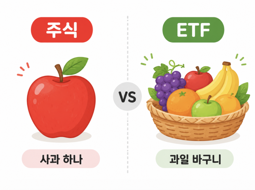 ETF와 주식 차이를 과일 바구니로 비교한 이미지